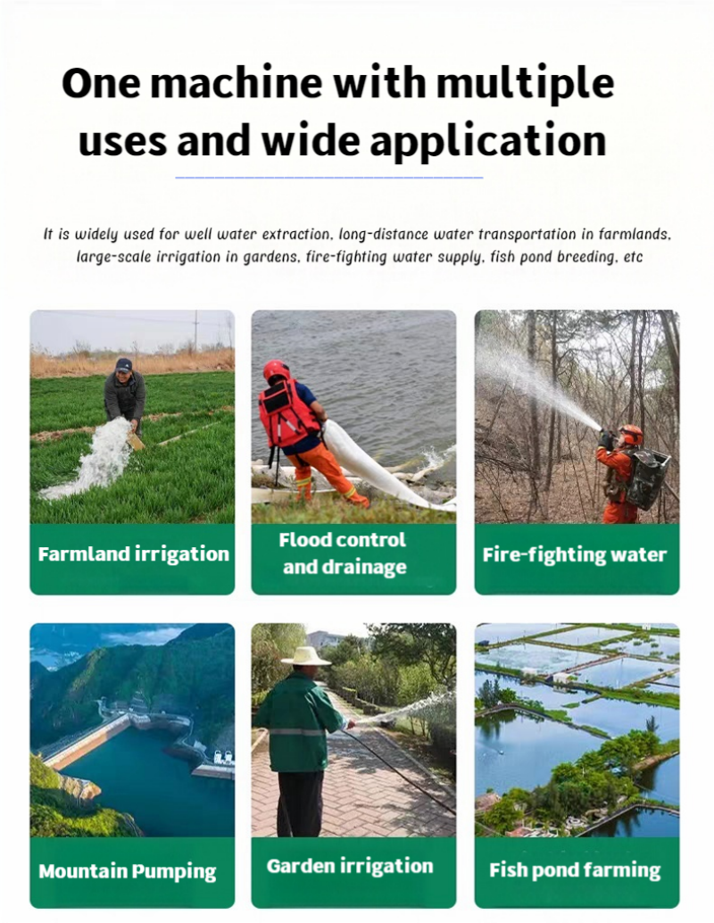 柴油机灌溉泵 (1)